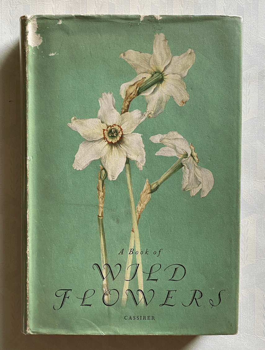 Elsa Flesko 植物図鑑　Wild Flowers 1956 ボタニカル Elsa Flesko 植物図鑑 Wild Flowers 1956 ボタニカル 本